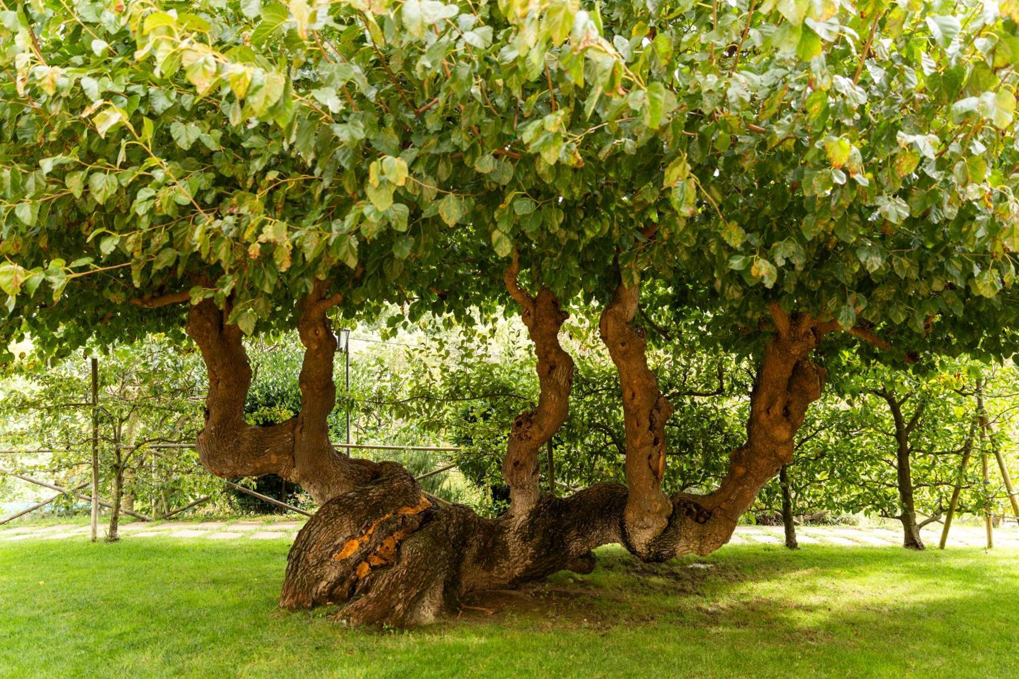 Agriturismo I Gelsi Di Santa Cristina Gubbio Zewnętrze zdjęcie